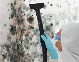 Why You Should Choose Our Mold Remediation Services in Lake Lure, NC